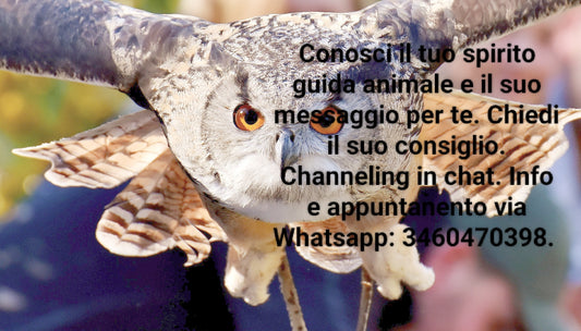 Scopri il tuo Animale Guida, Animale Totem, Animale Spirito Guida. via Chat